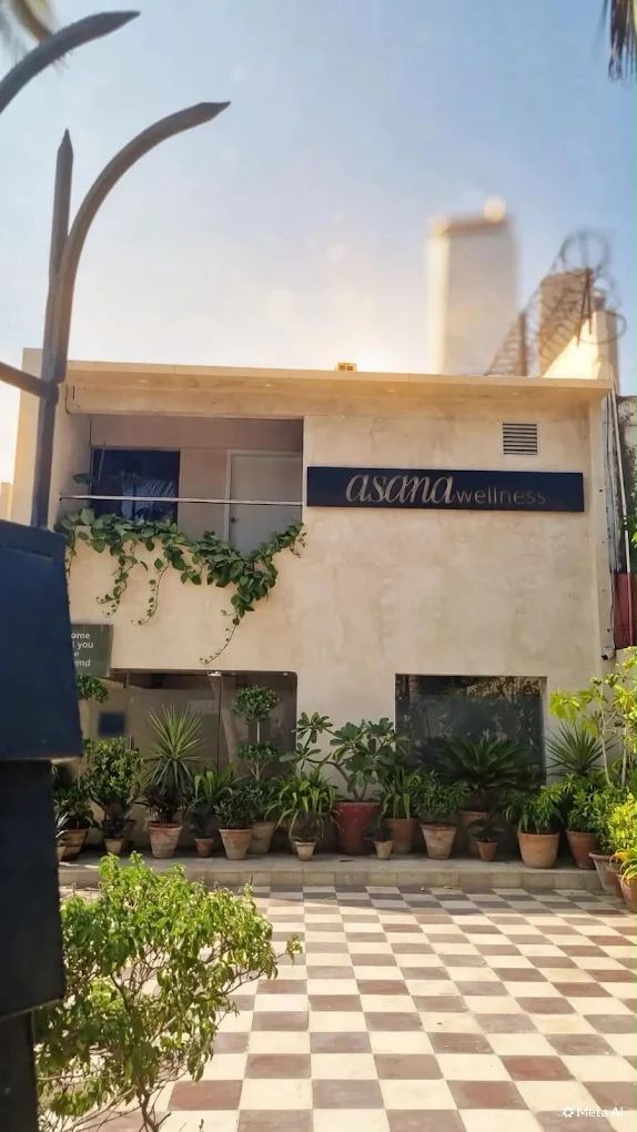 The Clifton studio entrance, lined with potted plants